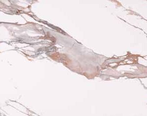 CASABLANCA ORO - PORCELÁNICO BRILLO RECTIFICADO 60X120