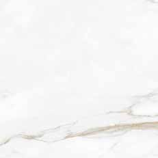 Estatuario Gold Brillo 60x60 - Porcelánico Rectificado