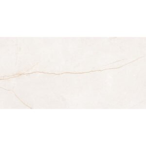 OBEY BONE - PORCELÁNICO MATE RECTIFICADO 60X120